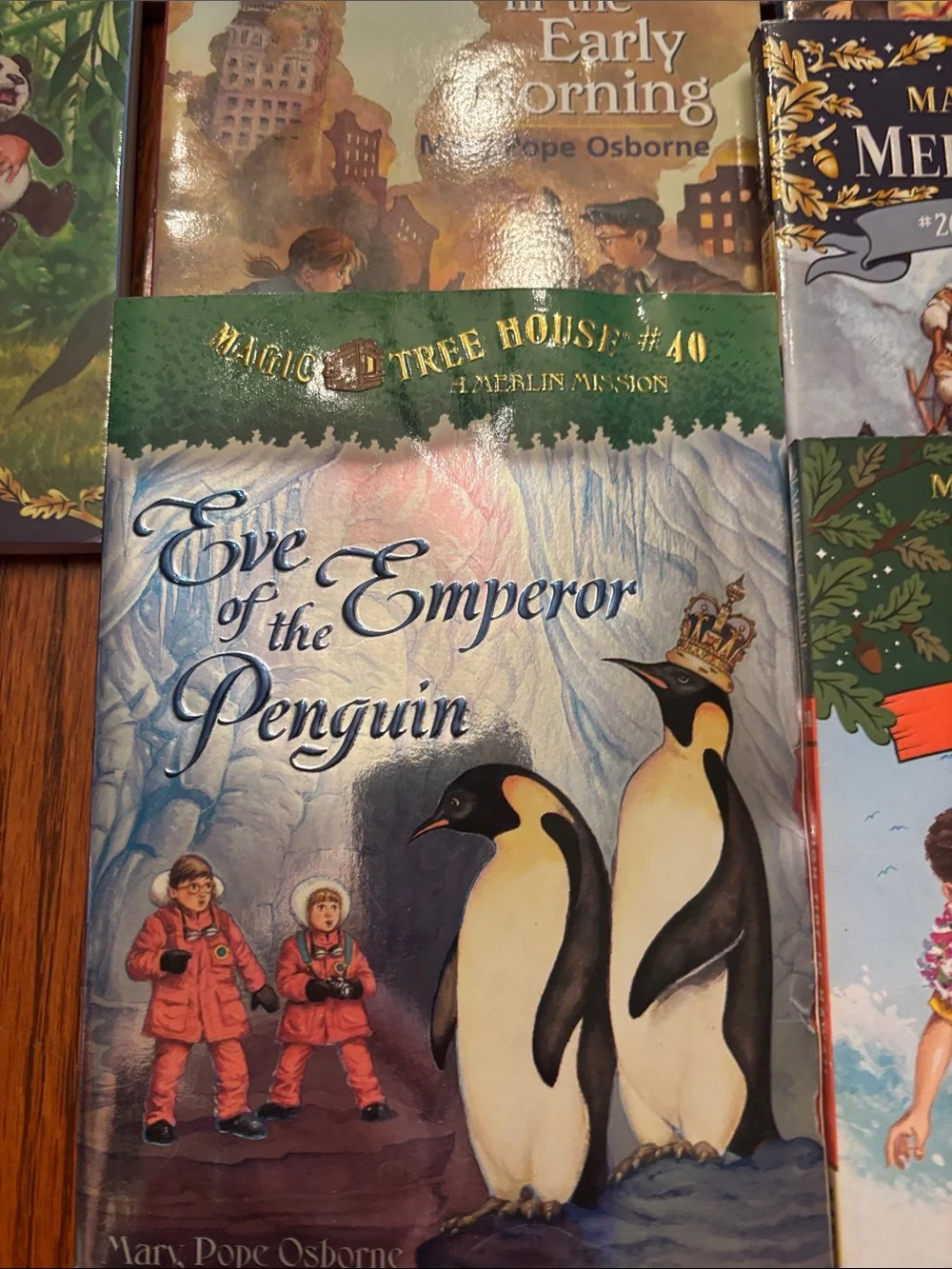 Magic Treehouse Novels (lot of 17)